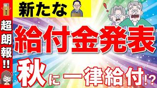 【2024年最新】新たな給付金が発表！秋に一律給付金10万円！？給付スケジュールや申請方法・給付金額について解説！ [upl. by Ysor]