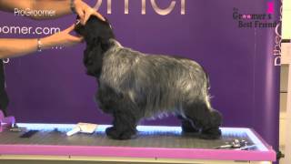 How to groom a Cocker Spaniel  Coat King  Grooming Guide Pro Groomer [upl. by Chemosh]