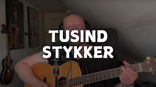 Tusind Stykker  Anne Linnet cover [upl. by Eisenhart200]