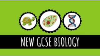 Diffusion  How Diffusion Works  91 GCSE Biology [upl. by Htebazile]