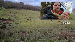 Knole Park Deer Antler Search  MLEH 213 [upl. by Cyprio]