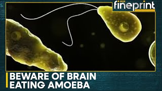 India Braineating amoeba kills Kerala girl  WION Fineprint [upl. by Adnylem]