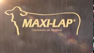 MAXILAP® Clorhidrato de Zilpaterol [upl. by Dina]