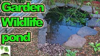 Making a Small Wildlife Pond  Timelapse  4K [upl. by Noyek143]