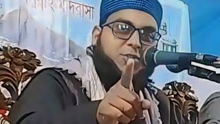 কোরআনের মর্যাদা নিয়ে চমৎকার আলোচনা ❤️ Hafiz Saifur Rahman Belali Zokigongi  01787330450 [upl. by Tu756]