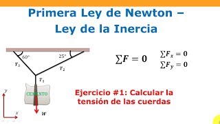 Cómo calcular la tensión de las cuerdas  1ra Ley de Newton [upl. by Saied]