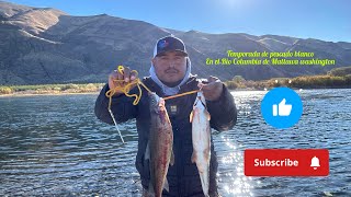 Pescando pescado blanco en el Rio de Columbia de Mattawa washington [upl. by Safoelc]