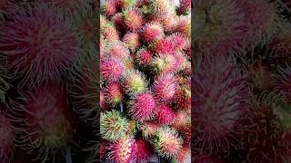 Rambutan Nephelium lappaceum😱😱😲😲😮😳 like comment subscribe fruitworld foodie [upl. by Yelloh]