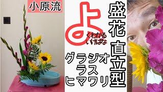 【よくわかる生け花】いけばな小原流 色彩盛花色彩本位 直立型の自主トレ風景です。 グラジオラス ひまわり レザーファン おうち生け花のヒントになれば幸いです。始めよういけばな！ [upl. by Einahpetse]