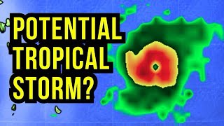 The Next Tropical Storm [upl. by Kylah]