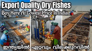 ഇതിലും നല്ലത് വേറെ എവിടെ കിട്ടും  Dry Fish Factory  Dry Fish Business  Export Quantity Dry Fish [upl. by Rennane]