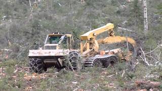 Skidder Tigercat 635D with ECO Soft 26 [upl. by Aruasi]