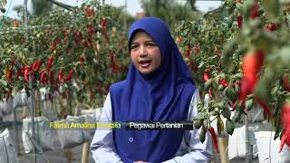 Agriculture Technology  Fertigation System Sistem Penanaman Secara Fertigasi [upl. by Bonner]