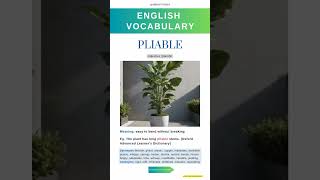 Learning English Vocabulary Daily  Advanced Vocabulary  Flexible and Elastic [upl. by Lowell]