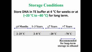 Storage Extracted DNA [upl. by Seena]