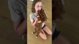 Cavapoo Puppies at 9 Weeks [upl. by Dicky]