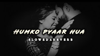 Humko Pyar Hua Slowed  Reverb use 🎧Lyrical song  Ready SalmanAsin  Tulsi Kumarkk  pritam [upl. by Borries760]