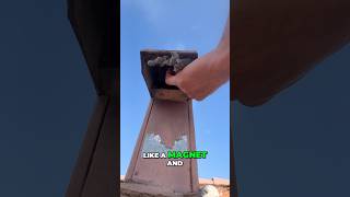 Prevent Dryer Vent Roof Vent Clogs Expert Tips for Efficient Drying dryervent [upl. by Anial152]