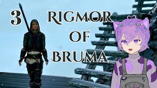 So Much Reading • Rigmor of Bruma Reboot Playthough P3 [upl. by Sanfred]