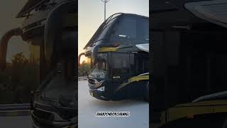 AEROBUS Bus Mewah Pekan baru Medan ‼️aerobus [upl. by Eisserc]