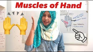 Hand Muscles  Hand Anatomy Intrinsic Muscles  MedSmartly with me [upl. by Nolaf178]