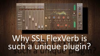 What makes SSL Native FlexVerb such a unique plugin [upl. by Maxim]