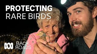 Protecting rare birds  Back Roads  ABC Australia [upl. by Shaylyn]