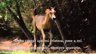 ESPINAS  BRONCO CON  LETRA [upl. by Nagud681]