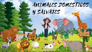 ANIMALES DOMESTICOS 🐶 y SALVAJES 🦒 para NIÑOS [upl. by Keram]