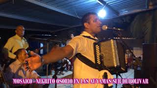 Dagoberto quotEl Negritoquot Osorio  Mosaico En Vivo [upl. by Jelle]