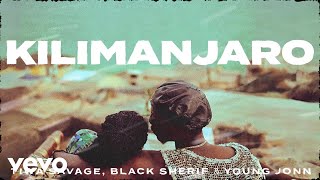 Tiwa Savage Black Sherif Young Jonn  Kilimanjaro Official Lyric Video [upl. by Morgenthaler]