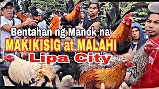 EP 18 Bentahan ng Makikisig at Malalahi na Manok Lipa City Batangas [upl. by Tekla]