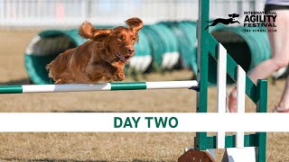 The Kennel Club International Agility Festival 2024  Day 2 Main Ring [upl. by Ynafit]