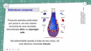 91  PORÍFEROS CNIDÁRIOS PLATELMINTOS E NEMATÓIDES  BIOLOGIA  2º ANO EM  AULA 912023 [upl. by Ainerbas]