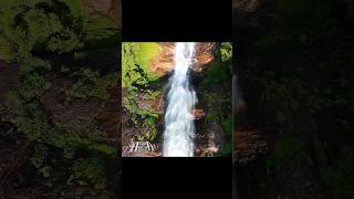 Gartmore Falls Maskeliya Sri Lanka My 2nd waterfall dive FpV drone Dji Avata 2 srilanaka dji [upl. by Oiretule]