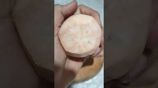 I DONT WANT TO MISS A DAY WITHOUT EATING SANTOL FRUIT FROM KY TREE😋 yummy asmr eating santol [upl. by Belanger]