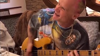 Flea Playing One Of His Best Bass Lines [upl. by Anuahsal]