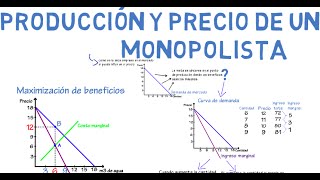 Monopolio  Cap 20  Microeconomía [upl. by Meakem]