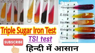 Triple sugar iron TSI test microbiology  Bacterial identification in hindi [upl. by Hew149]