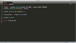 Python Socket Programming Demo [upl. by Esorylime]