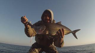 Spinning  Shore Jigging alle ricciole in Sardegna  Live strike  Shore fishing Amberjack [upl. by Rodmun]