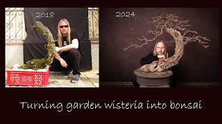 Wisteria bonsai carving and styling [upl. by Llevol]