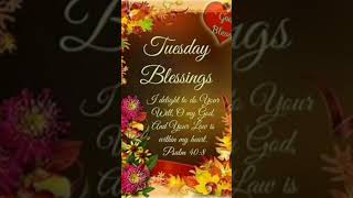 Tuesday Blessings with ReverendCed YallStayBlessed🙏🏾 [upl. by Ydnes369]