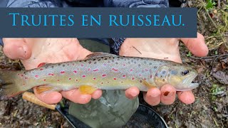 Pêche de la truite en ruisseau [upl. by Anircam665]