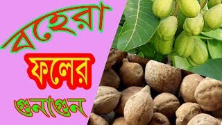 বহেরা ফলের পচুর গুনাগুনbohera foler gunagun [upl. by Riamo899]