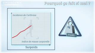 Lutter contre larthrose de la hanche ou coxarthrose   Arthrolink [upl. by Kroo883]