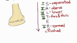 Fractura de Salter Harris [upl. by Ahsirkal]