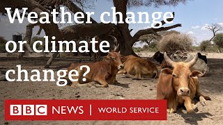 When does weather change become climate change  BBC World Service [upl. by Randie716]