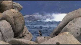 Trauminseln im Mittelmeer  Der Naturpark zwischen Korsika und Sardinien 13 [upl. by Enimrac923]