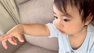 【いつもの日常vlog🟡】１歳3ヶ月男の子、竹林亭ランチ、熊本中華、1歳ごはん、1歳外食、とりわけ外食、とりわけランチ、初めてのからあげ、プラレール🚅はやぶさ、新幹線だいすき、自宅保育、ワンオペ育児 [upl. by Ziegler]